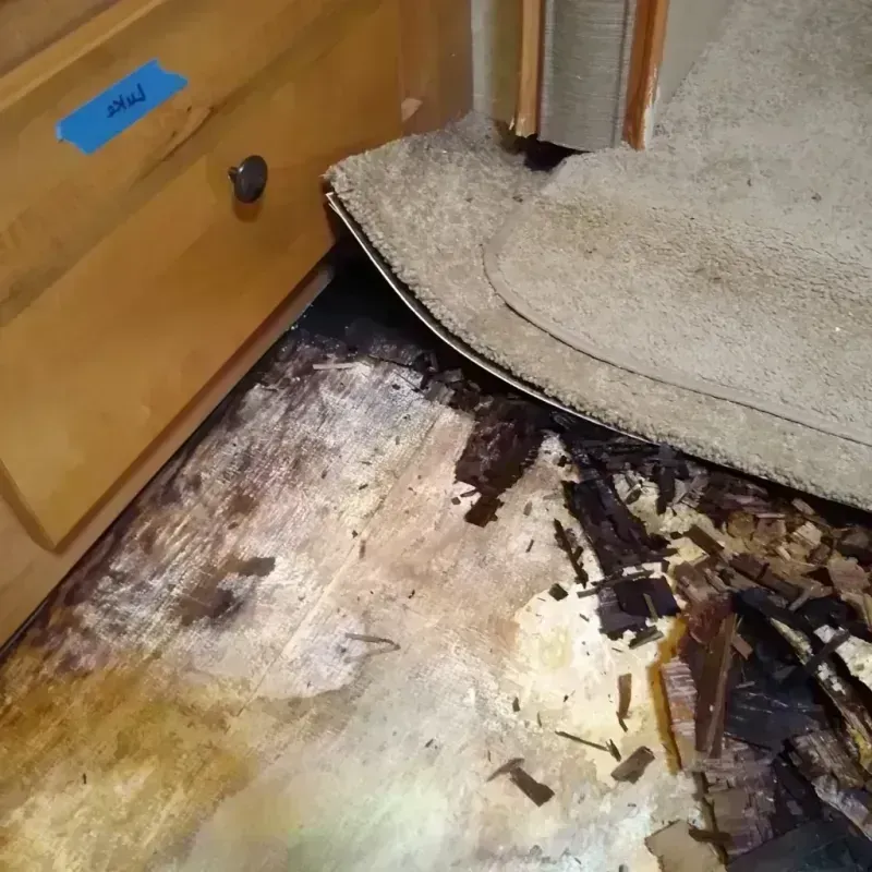 Wood Floor Water Damage in Arvada, CO